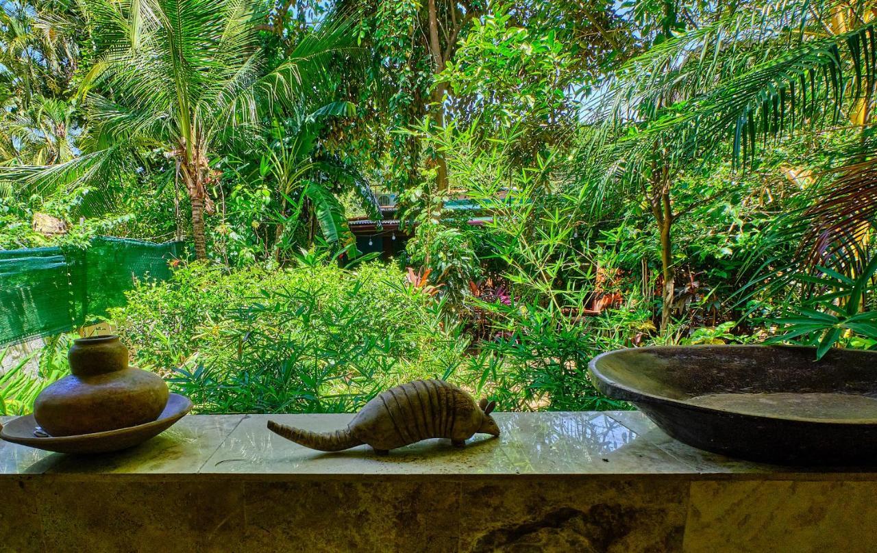 Casa Smilin' Dog Apartment Tamarindo Luaran gambar