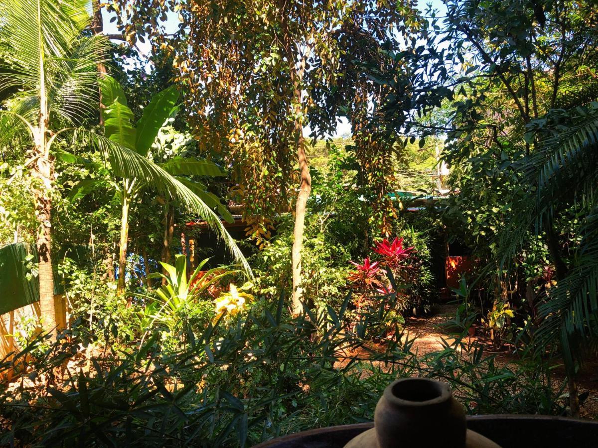 Casa Smilin' Dog Apartment Tamarindo Luaran gambar