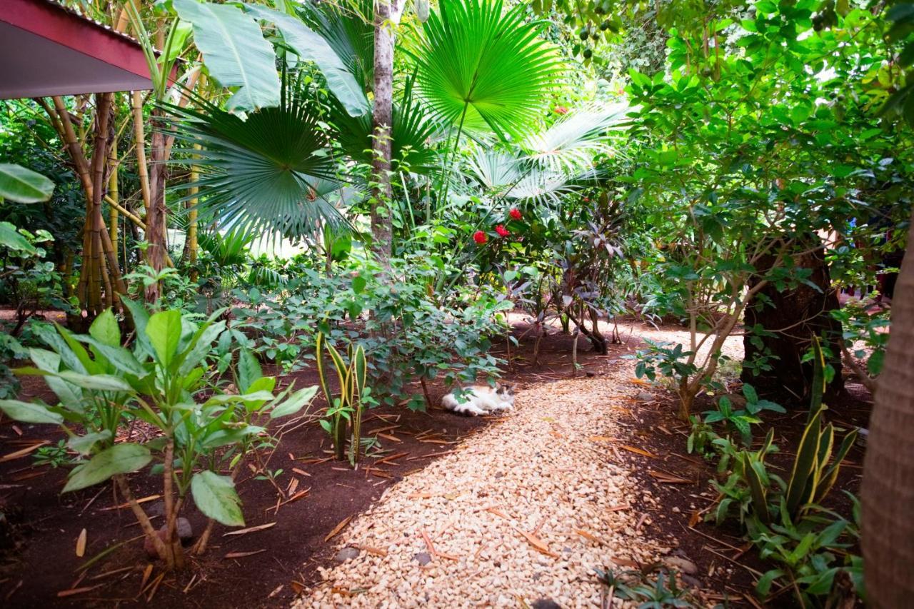 Casa Smilin' Dog Apartment Tamarindo Luaran gambar
